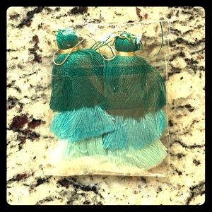 3 in. Statement Tassel Earrings (still in package)